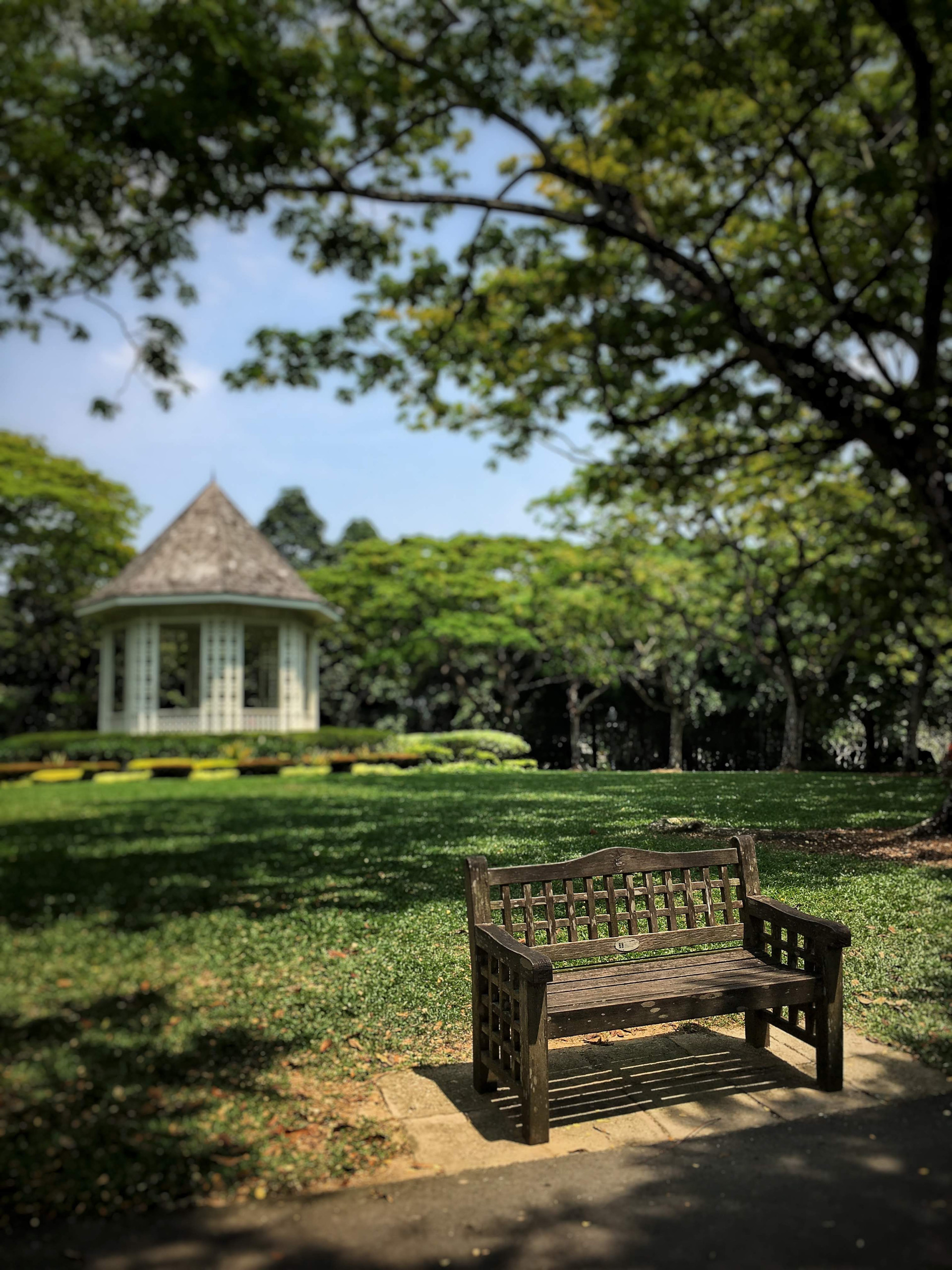 Mobile Photography Course