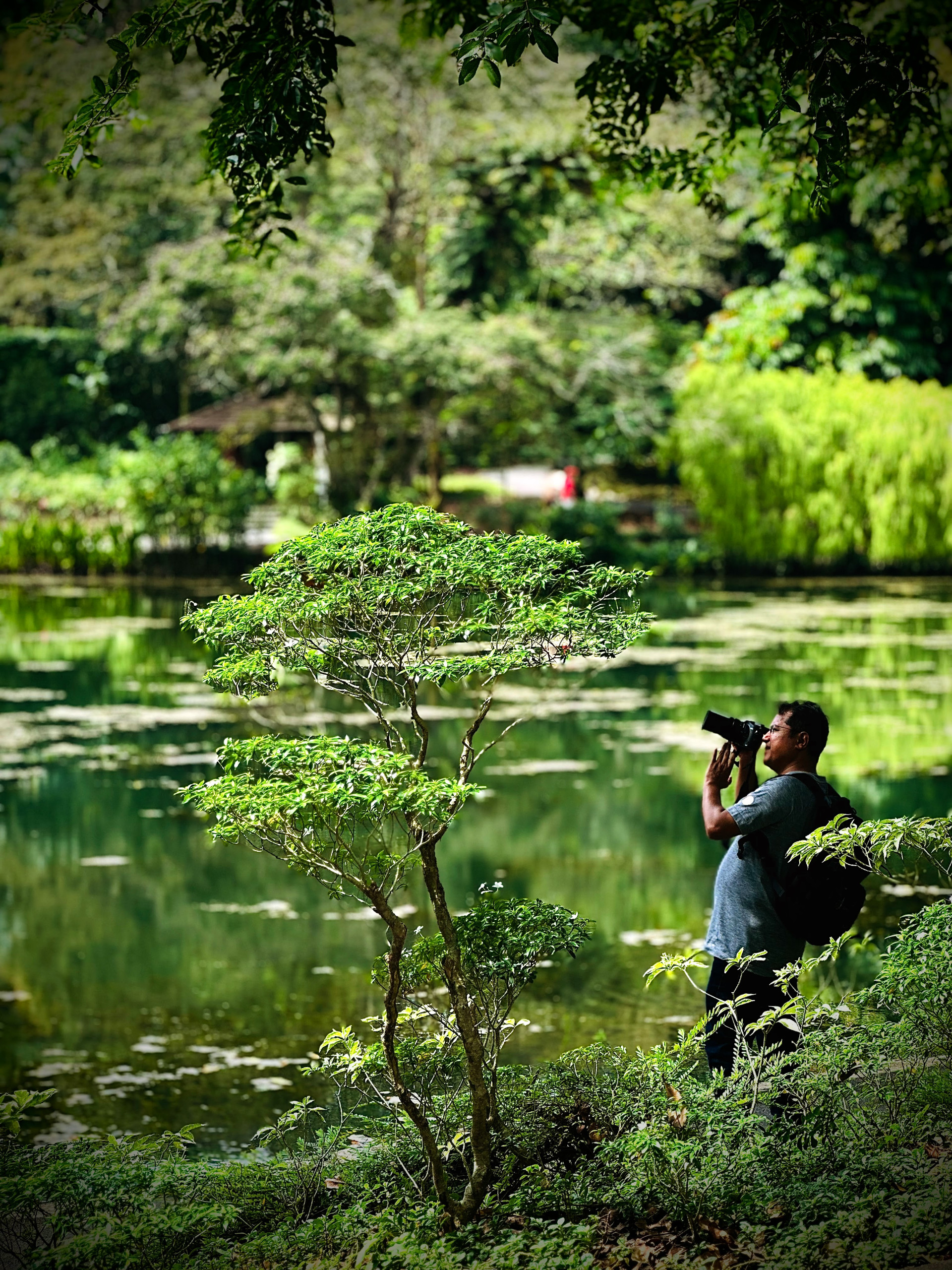 Express Basic Photography Workshop