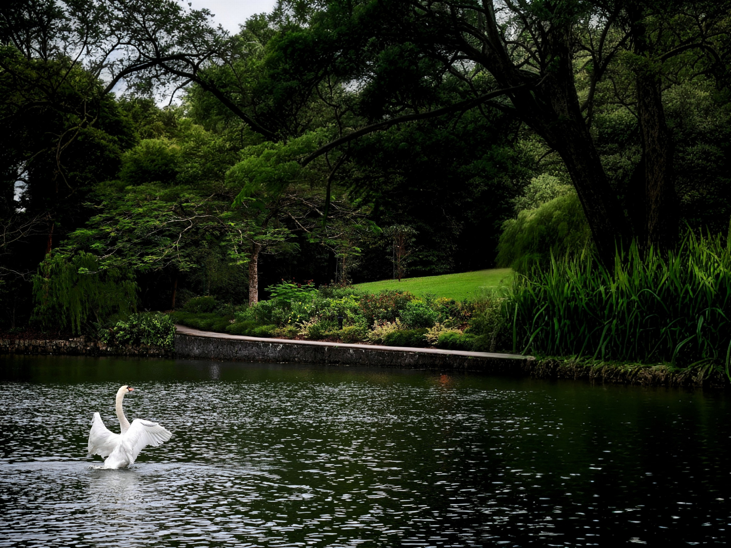 Express Basic Photography Workshop