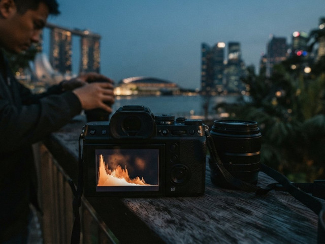 Understanding Camera Histograms for Beginners: When a Dark Histogram Fits