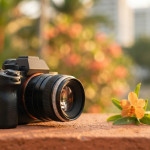 Bokeh Effect: How to Achieve Soft, Intentional Background Blur
