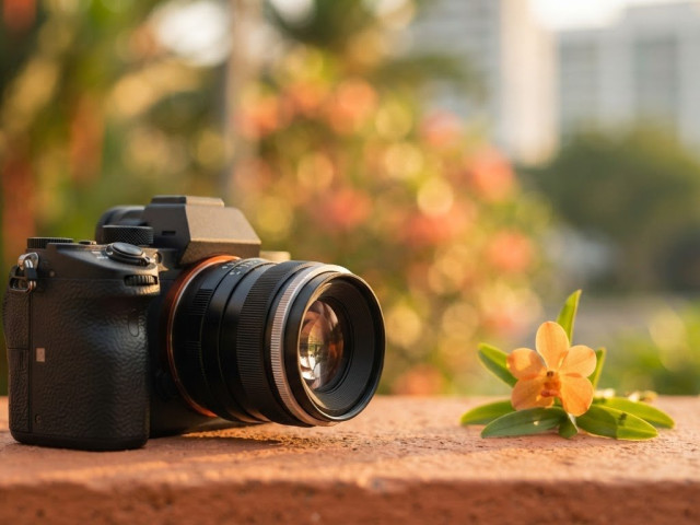 Bokeh Effect: How to Achieve Soft, Intentional Background Blur